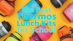 thermos lunch kits for school